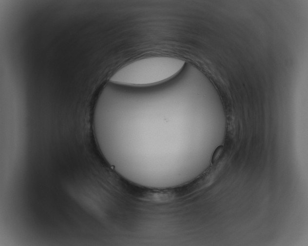 X0000101180466200806270830
