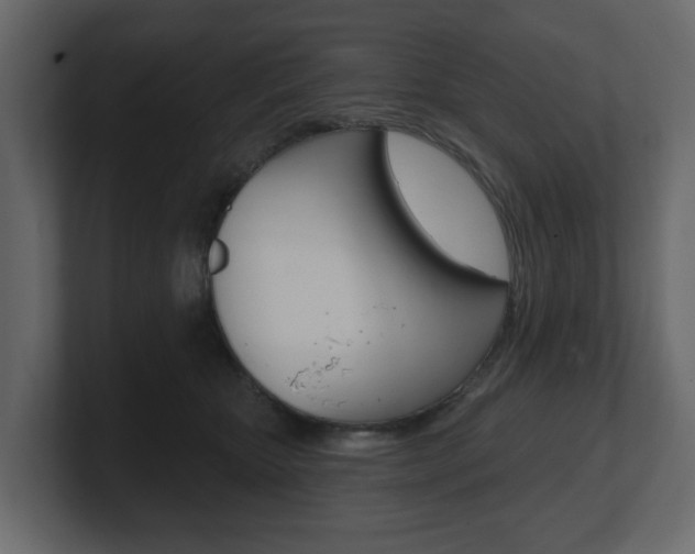 X0000101180467200806270830
