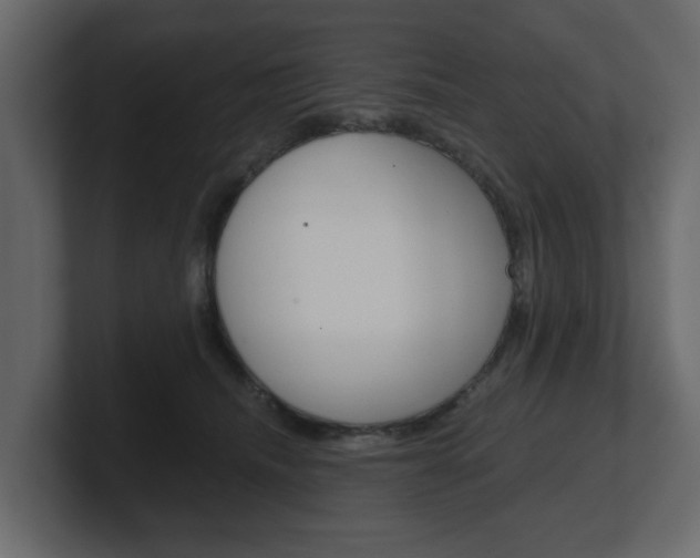 X0000101180468200806270830
