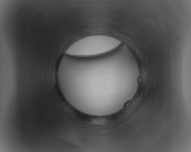 X0000101180470200806270830
