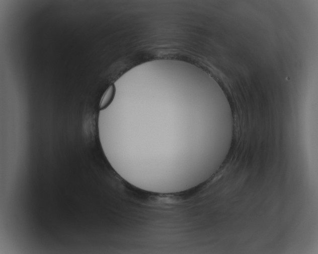 X0000101180475200806270830