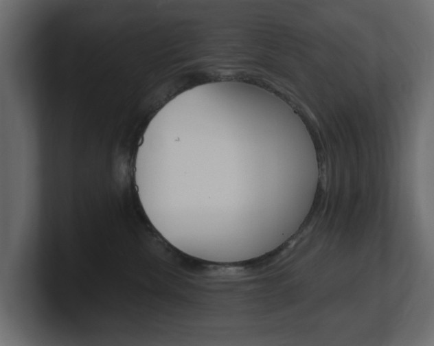 X0000101180476200806270830