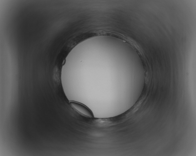 X0000101180477200806270830