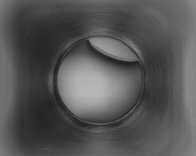 X0000101180485200806270830