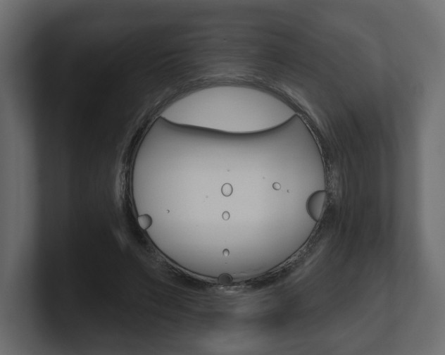 X0000101180495200806270830