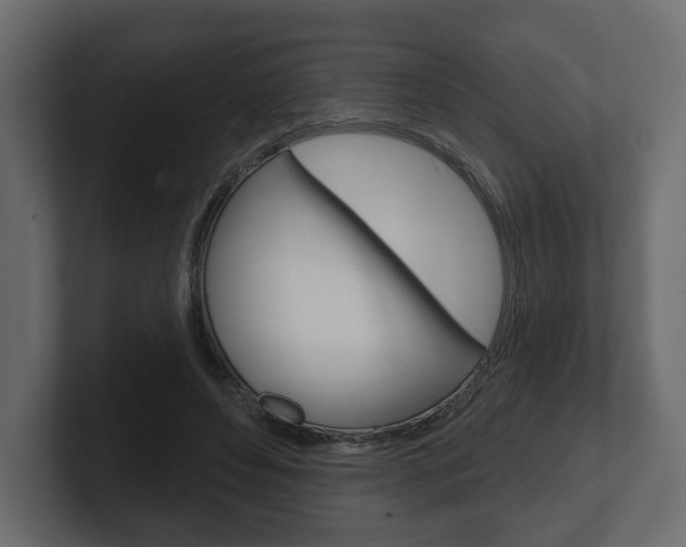 X0000101180496200806270829