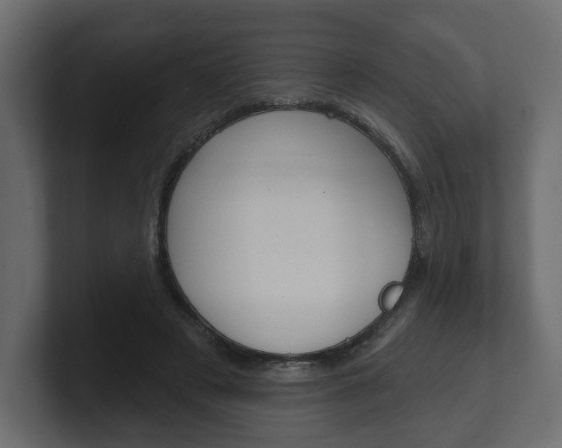 X0000101180497200806270829