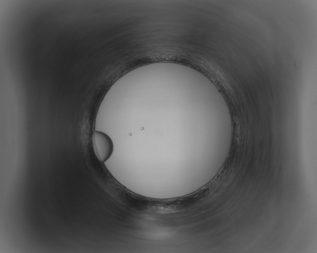 X0000101180498200806270829