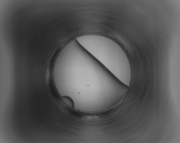 X0000101180500200806270829