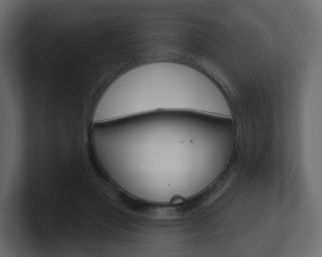 X0000101180501200806270829
