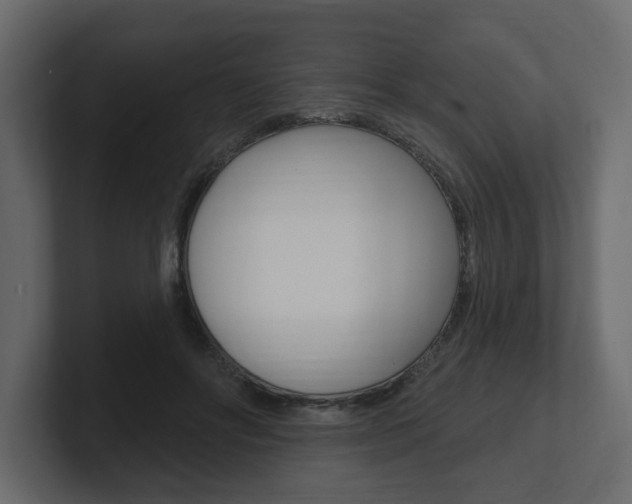 X0000101180502200806270829