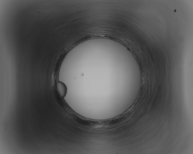 X0000101180504200806270829