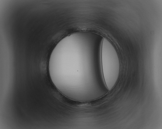 X0000101180505200806270829