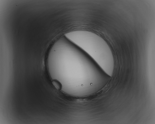 X0000101180508200806270829