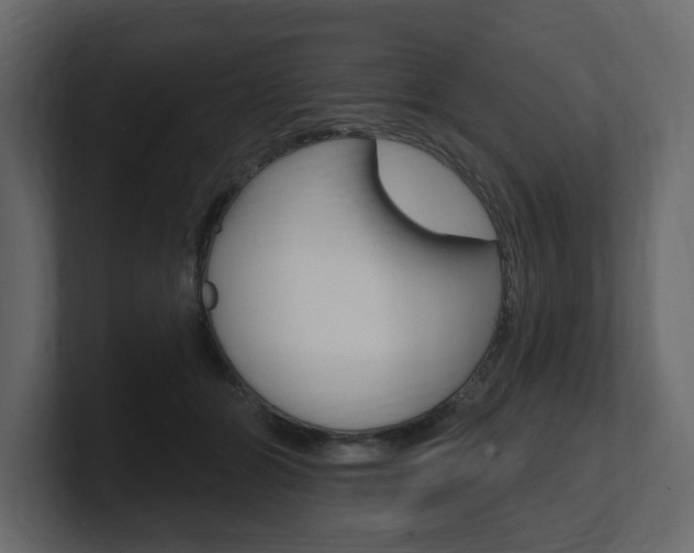 X0000101180510200806270829