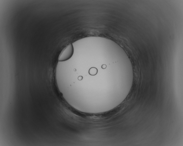 X0000101180511200806270829