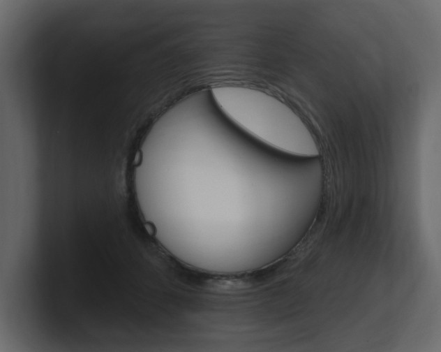 X0000101180512200806270829