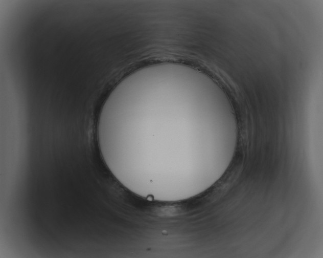 X0000101180513200806270829
