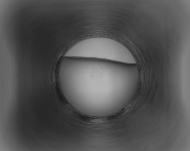 X0000101180516200806270829