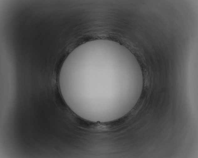 X0000101180518200806270829