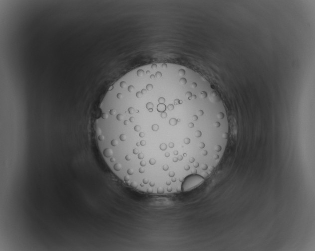 X0000101180519200806270829