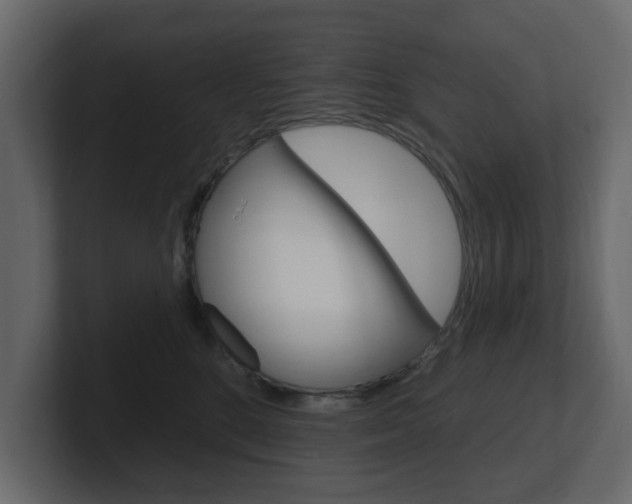 X0000101180520200806270829