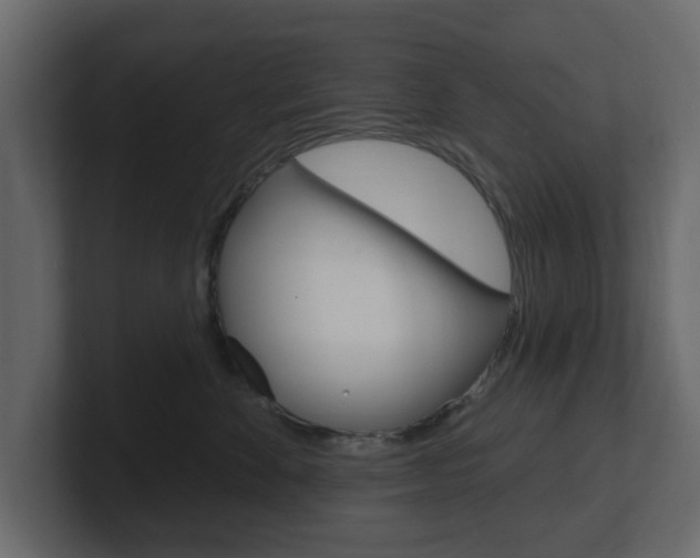 X0000101180524200806270829