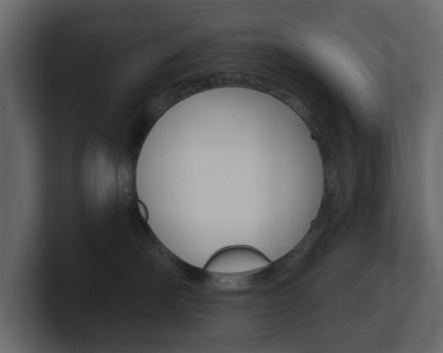 X0000101180526200806270829