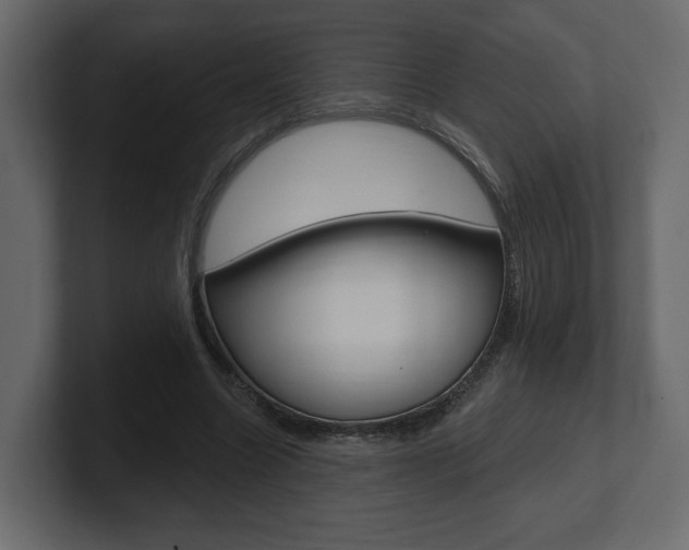 X0000101180538200806270829