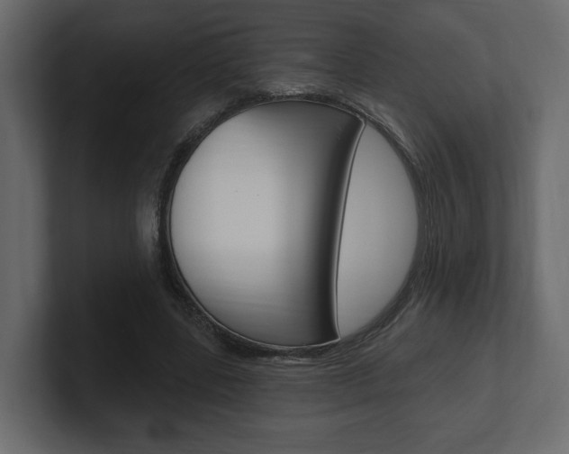 X0000101180539200806270829