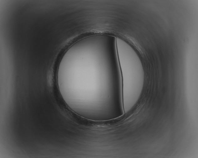 X0000101180540200806270829