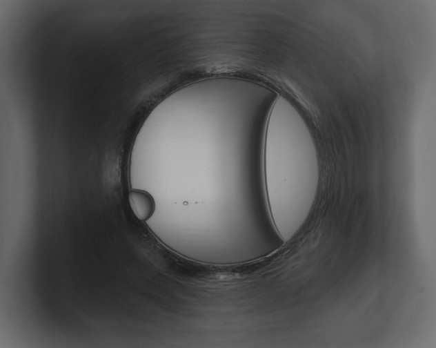 X0000101180543200806270829