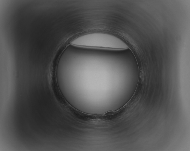 X0000101180544200806270829