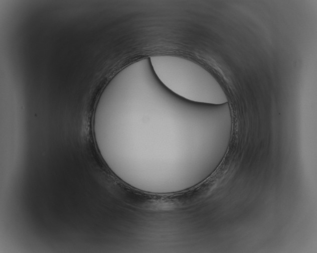 X0000101180545200806270829