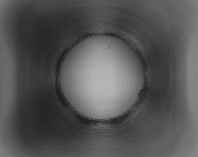 X0000101180546200806270829
