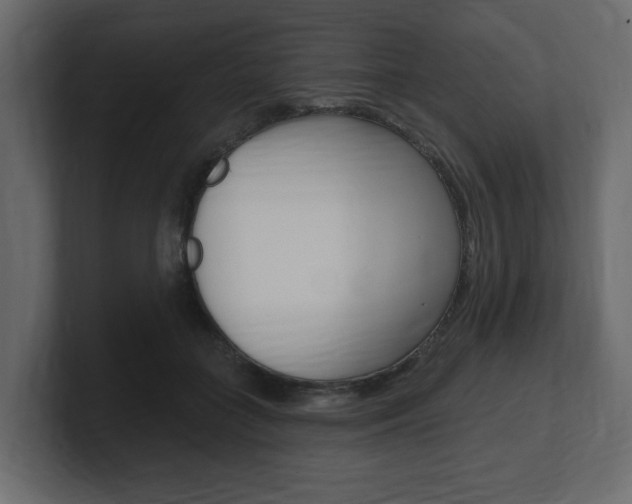 X0000101180555200806270829