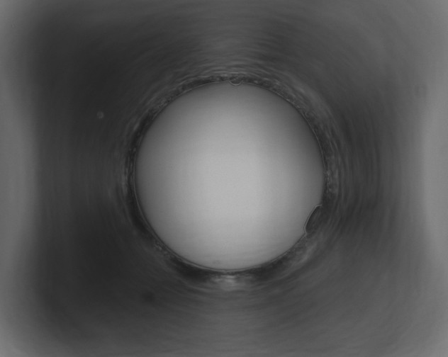 X0000101180558200806270829