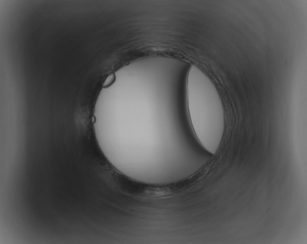 X0000101180559200806270829