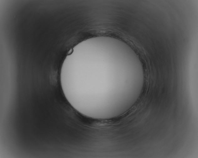 X0000101180563200806270829