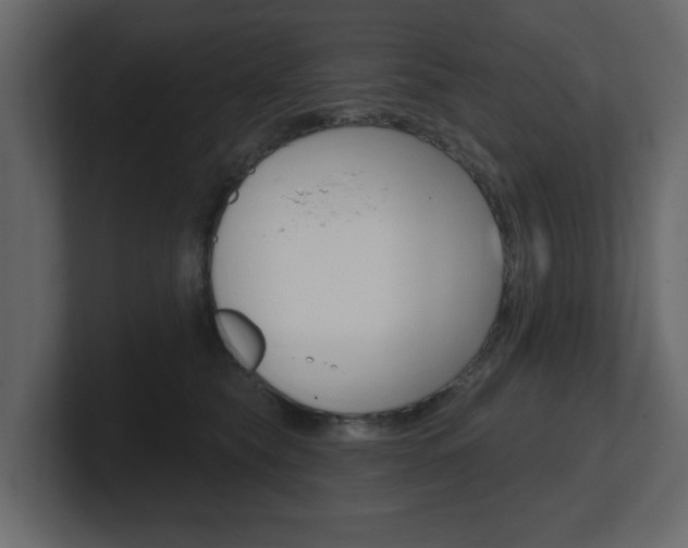 X0000101180565200806270829