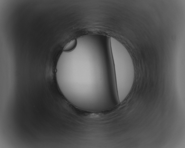 X0000101180566200806270829