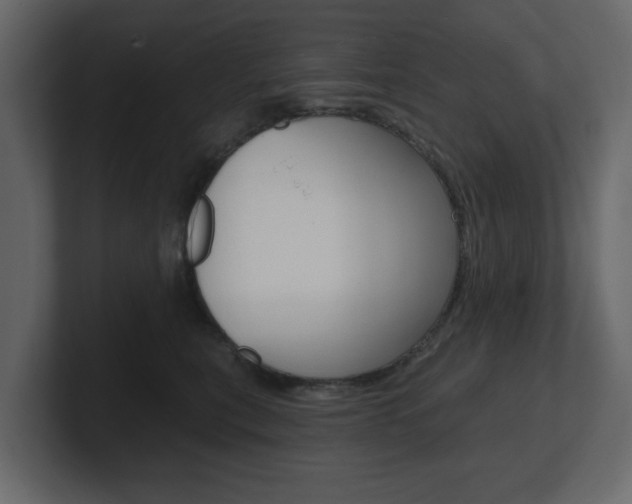 X0000101180567200806270829