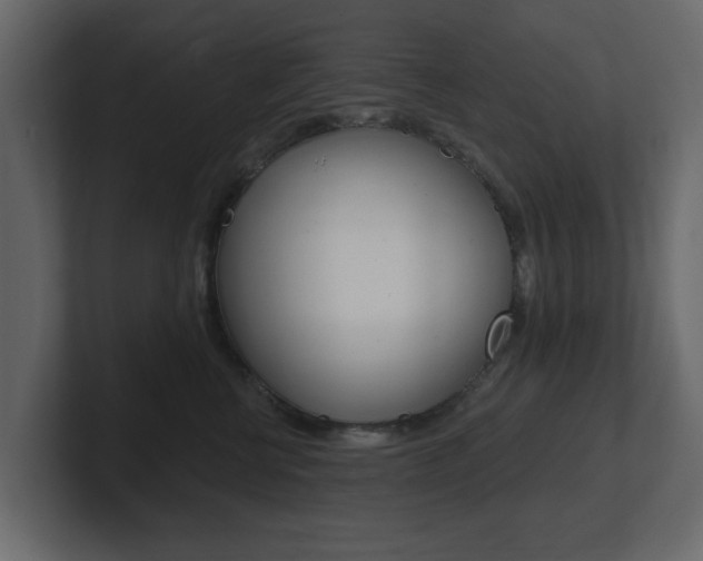 X0000101180570200806270829