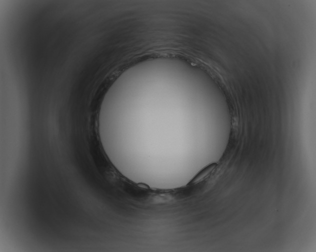 X0000101180572200806270829