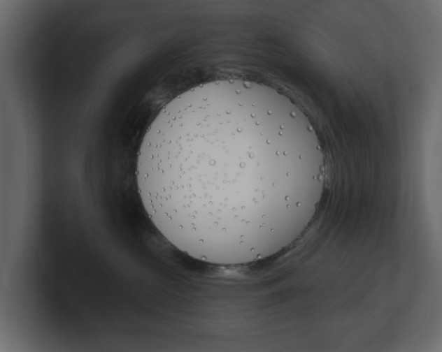 X0000101180573200806270829