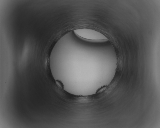 X0000101180574200806270829