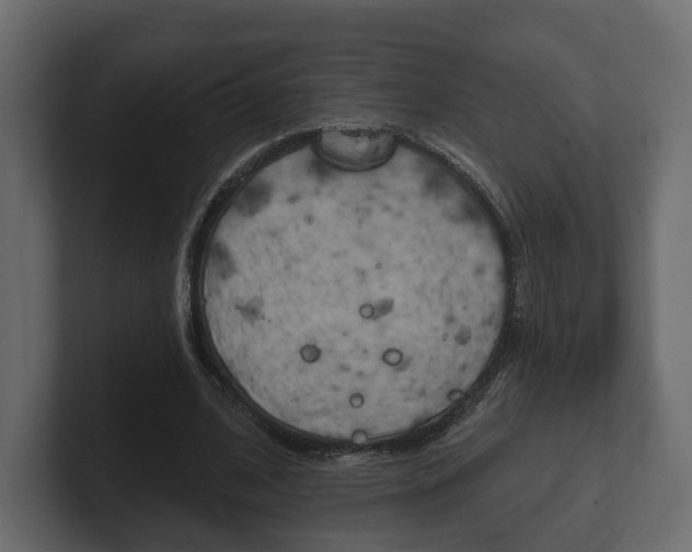 X0000101180584200806270828