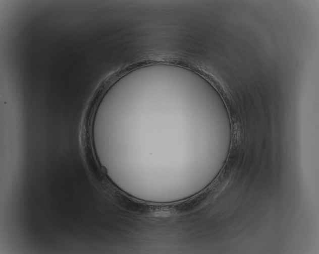 X0000101180587200806270828