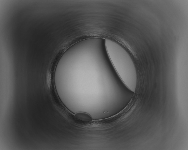 X0000101180589200806270828
