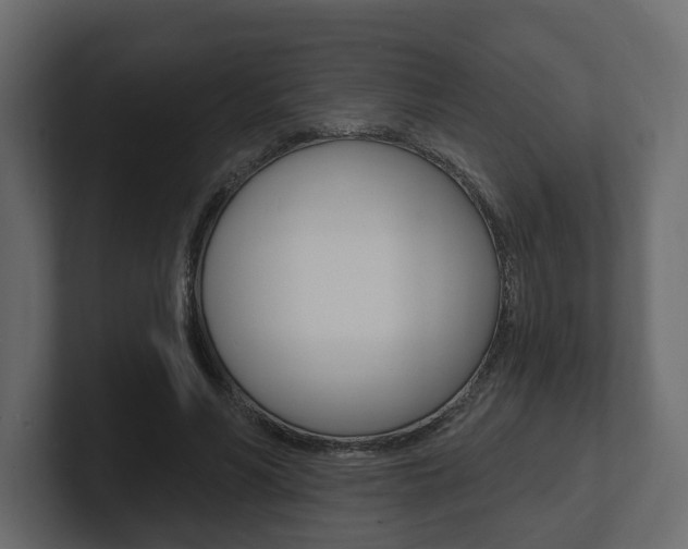 X0000101180590200806270828